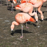 089